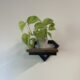 Etajera suspendata perete Ruhhy, stil loft, cadru otel, raft MDF, 19x23x20 cm - imagine 12