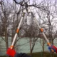 Foarfeca crengi, tip bypass, teflon, otel  SK5, maner telescopic 70-88 cm, Richmann Exclusive - imagine 8
