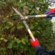 Foarfeca gard viu, arbusti, tip bypass, lama teflonata, 59 cm, Richmann Exclusive - imagine 6