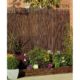 Gard gradina/paravan din rachita naturala, 5x1.5 m - imagine 11