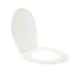Capac de wc fosforescent, lumineaza turcoaz in intuneric, soft close - imagine 2