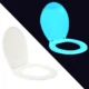 Capac de wc fosforescent, lumineaza turcoaz in intuneric, soft close - imagine 5