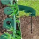 Separator gazon, lungime 10 metri, latime 5 cm, 30 pini montaj, culoare verde - imagine 4