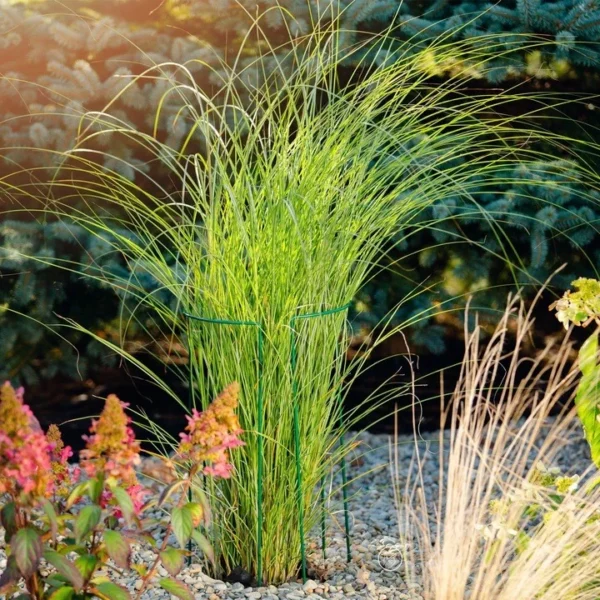 Suport metalic de flori, pentru exterior, set 3 bucati, 25x75 cm, verde - imagine 3
