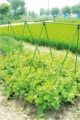 Spalier plante cataratoare, tip a, inaltime 180 cm, tije 16 mm, plasa 1,8x3,2 m - imagine 4