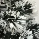 Brad artificial iluminat led si fibra optica multicolor, inaltime 180 cm - imagine 7