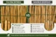 Gard din bambus natural 150x150 cm - paravan decorativ din tulpini intregi pentru gradina, terasa si balcon - imagine 6