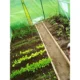 Sera tip tunel, 3.5x2x2 m, folie pe 140g/mp, cadru metalic, filtru uv4 - imagine 8