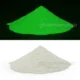Pigment fosforescent verde baza de apa cantitate 1000 gr - imagine 2