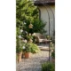 Arcada metalica, pergola, pentru gradina, 120x44x219 cm, Strend Pro - imagine 6