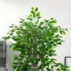 Planta artificiala, ficus cu ghiveci, verde, 135 cm - imagine 4