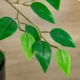 Planta artificiala, ficus cu ghiveci, verde, 135 cm - imagine 2