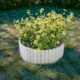 Gard de gradina decorativ din lemn, alb, 200x30 cm - imagine 6