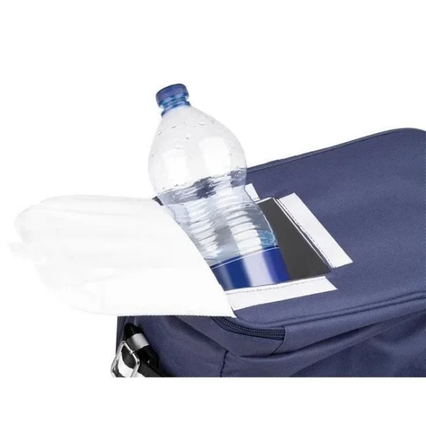 Geanta picnic, termoizolanta, impermeabila, cu maner, albastru, 35x23x35 cm, Isotrade - imagine 12