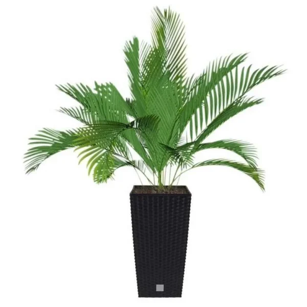 Set 2 ghivece de flori, Rato, imitatie ratan, inalte, 22.5x22.5x42 cm, negru, Prosperplast - imagine 7