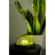 Lampa de noptiera cu proiector, muzicala, LED, telecomanda, bluetooth, incarcare USB, negru, 17x13 cm, Isotrade - imagine 3