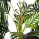 Planta artificiala, palmier cu ghiveci, verde, 150 cm - imagine 4