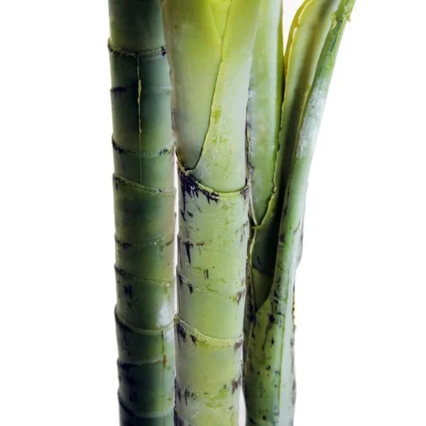 Planta artificiala, palmier cu ghiveci, verde, 150 cm - imagine 2