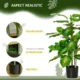 Planta artificiala cu ghiveci, verde, 95 cm - imagine 8