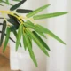 Planta artificiala, bambus cu ghiveci, verde, 16x120 cm - imagine 4