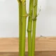 Planta artificiala, bambus cu ghiveci, verde, 16x120 cm - imagine 3