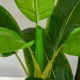 Planta artificiala, bananier cu ghiveci, verde, 150 cm - imagine 2