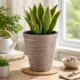 Set 2 ghivece de flori, Sand, rotunde, 38.8x43.6 cm, cafeniu, Prosperplast - imagine 2