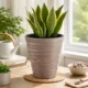 Set 2 ghivece de flori, Sand, rotunde, 38.8x43.6 cm, cafeniu, Prosperplast - imagine 5