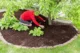 Folie antiburuieni, textila, neagra, 50 g/m2, 1.6x50 m - imagine 7