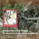 Pom de Craciun Innazit  Inalt 180 cm cu Ramuri Realistice si Baza Metalica Pliabila - imagine 6