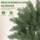 Brad de Craciun de 180 cm, iluminat cu 250 de lumini albe si colorate, 899 ramuri si 9 moduri de iluminare - imagine 6